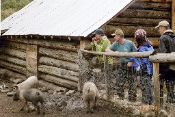 Homesteading at Rich Cabins